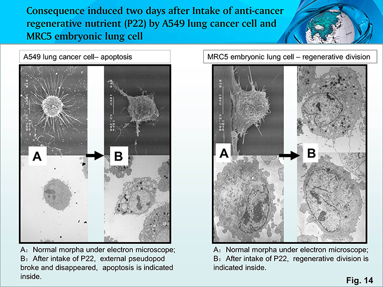首页-人生就是博中国官方网站