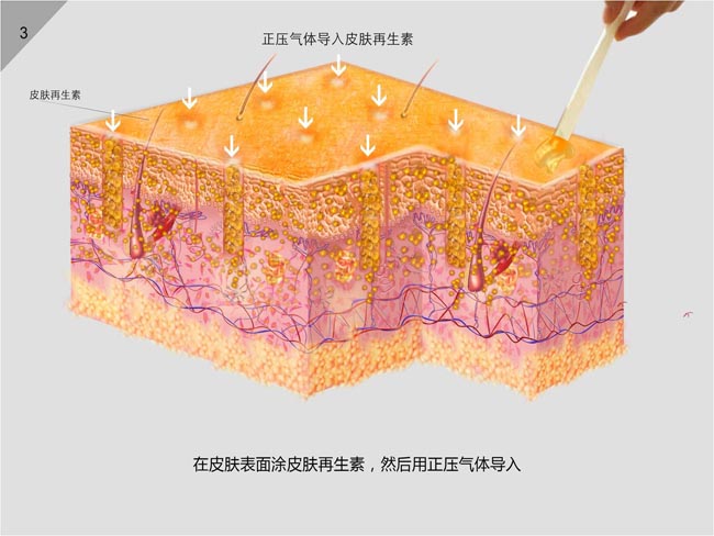 首页-人生就是博中国官方网站