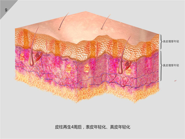 首页-人生就是博中国官方网站