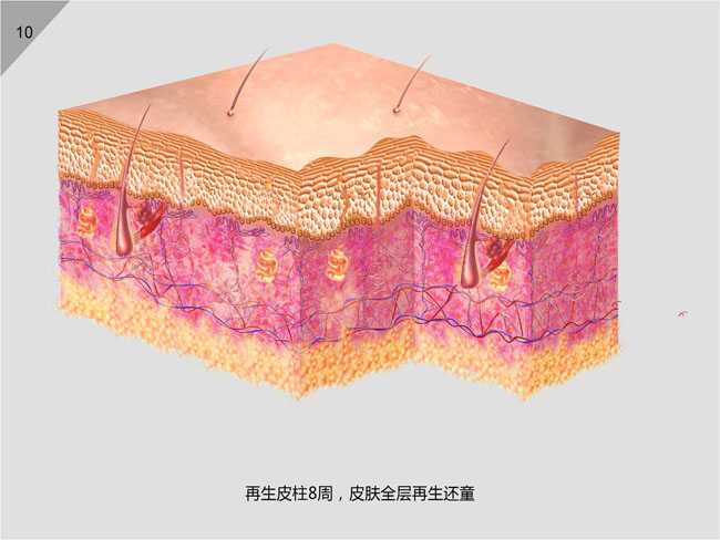首页-人生就是博中国官方网站