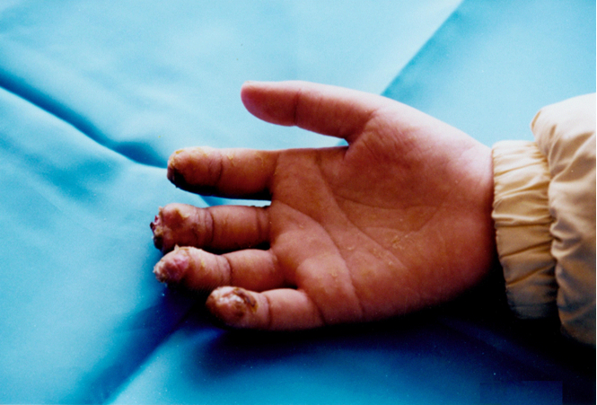 首页-人生就是博中国官方网站