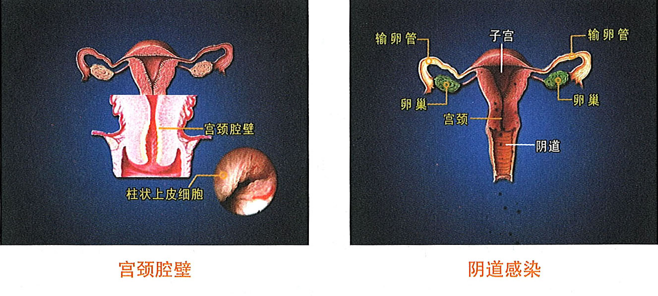 首页-人生就是博中国官方网站
