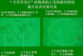 首页-人生就是博中国官方网站