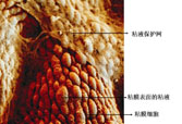首页-人生就是博中国官方网站