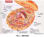 首页-人生就是博中国官方网站